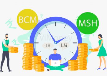 May Sông Hồng (MSH) - Becamex (BCM) kẻ lãi 92% người lỗ 36% quý 4 năm 2021