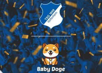 Baby Doge và CLB bóng đá Đức TSG Hoffenheim hợp tác ra mắt BST NFTs