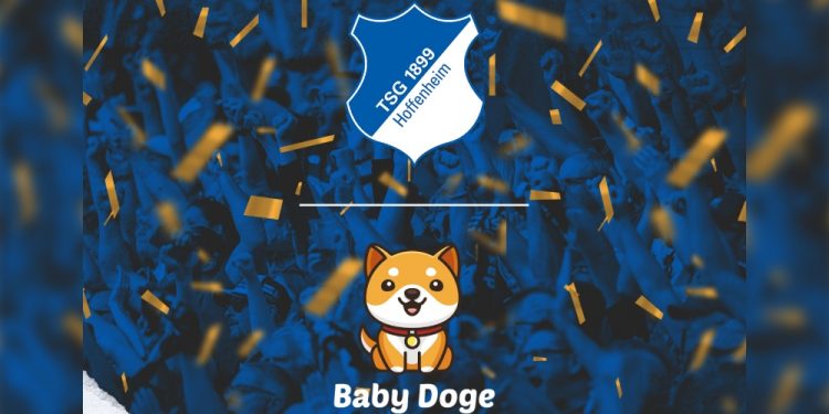 Baby Doge và CLB bóng đá Đức TSG Hoffenheim hợp tác ra mắt BST NFTs