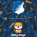 Baby Doge và CLB bóng đá Đức TSG Hoffenheim hợp tác ra mắt BST NFTs