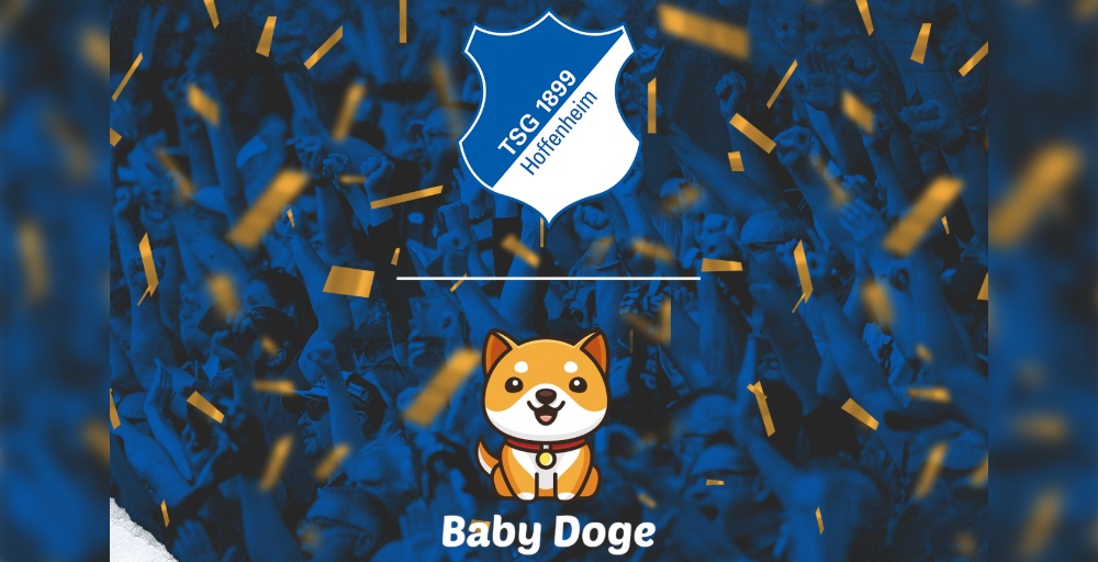 Baby Doge và CLB bóng đá Đức TSG Hoffenheim hợp tác ra mắt BST NFTs
