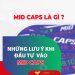 Mid Caps là gì? Những lưu ý khi đầu tư vào MidCaps