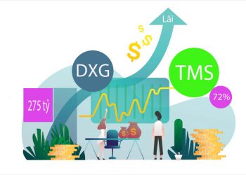 DXG lãi quý 4 hơn 275 tỷ đồng - TMS lãi trước thuế vượt mục tiêu 72%