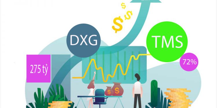 DXG lãi quý 4 hơn 275 tỷ đồng - TMS lãi trước thuế vượt mục tiêu 72%