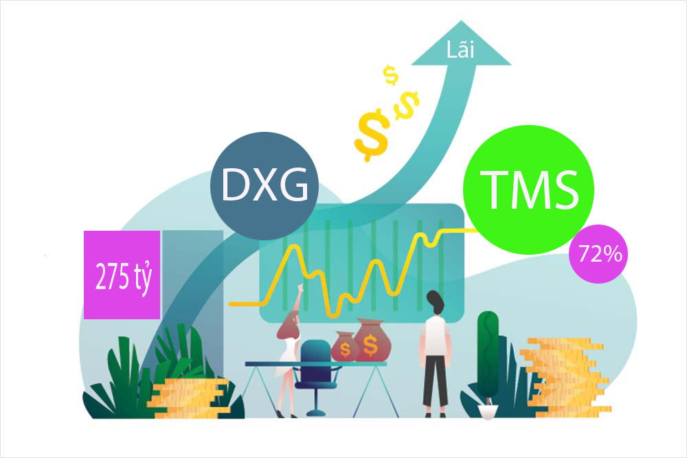 DXG lãi quý 4 hơn 275 tỷ đồng - TMS lãi trước thuế vượt mục tiêu 72%