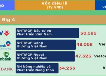 Tên, logo và quy mô vốn cổ phần của các ngân hàng Việt Nam năm 2022
