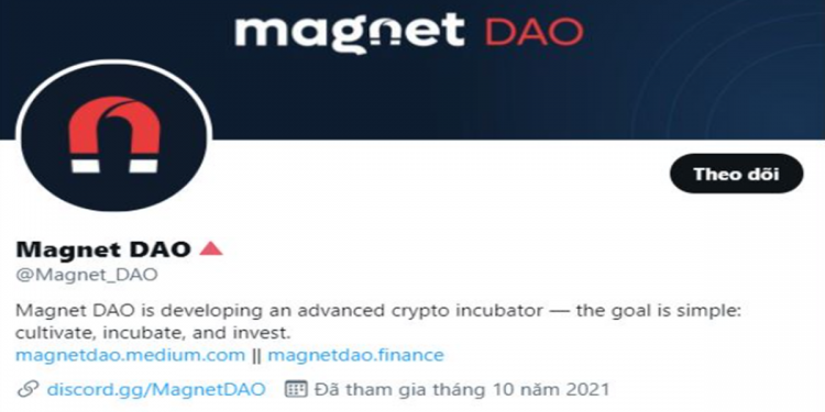 Vườn ươm giống tiềm năng Magnet DAO (MAG) – điểm nhấn ấn tượng trong năm 2022