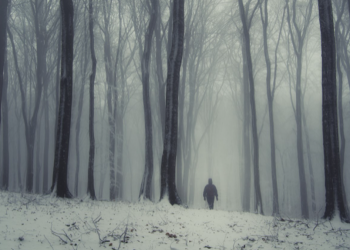 Mỹ có xuất hiện “mùa đông crypto”?