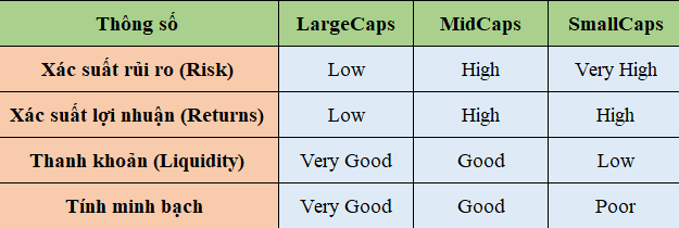 ViMoney: Mid Caps là gì? Những lưu ý khi đầu tư vào MidCaps h2