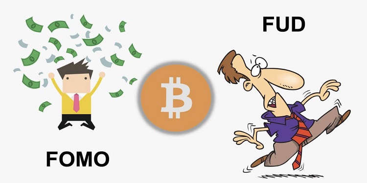 vimoney: FUD là gì? Đặc điểm hiệu ứng tâm lý FUD và cách vượt qua