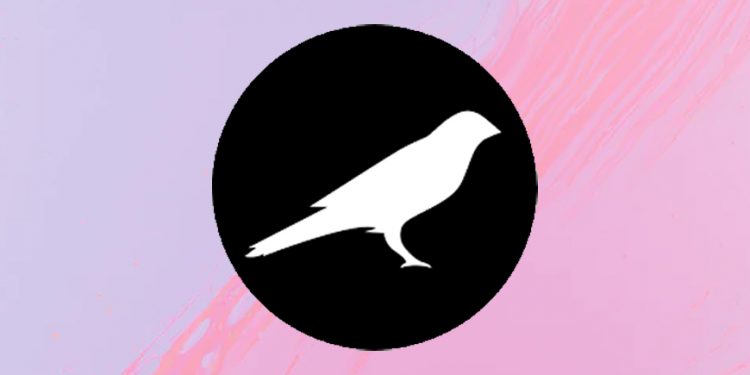 Kusama là gì (KSM) Những điều cần biết về token KSM