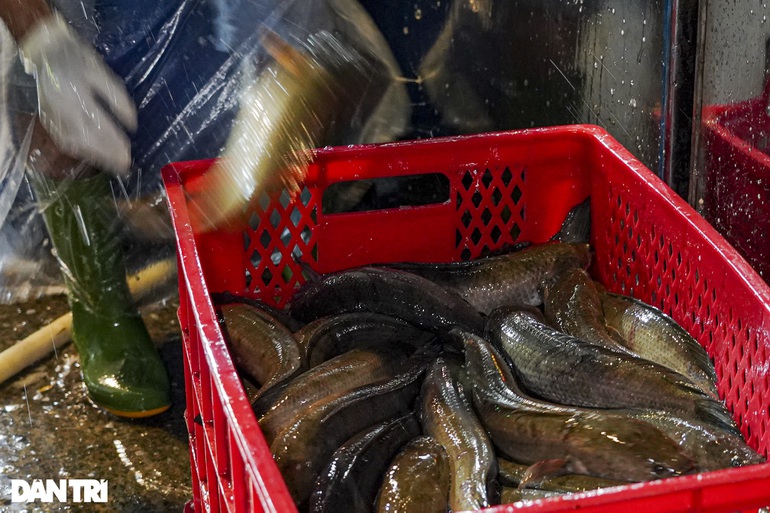 vimoney: Ngày vía Thần tài: Người dân TP HCM mua vàng sớm, nhập hơn 300 tấn cá lóc về chợ Bình Điền