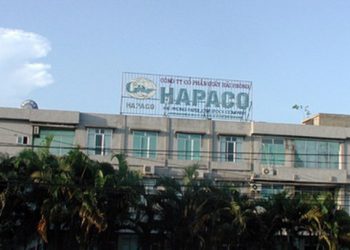 Doanh thu tập đoàn Hapaco cao nhất trong 10 năm