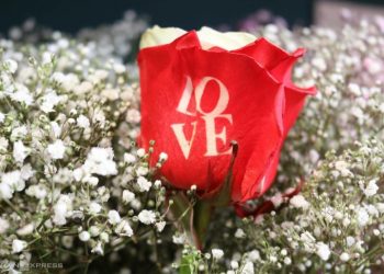 Valentine: 200 nghìn đồng một bông hồng in chữ Love