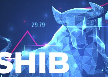 Số dư Shiba Inu do những người sở hữu lớn nắm giữ tăng 84%