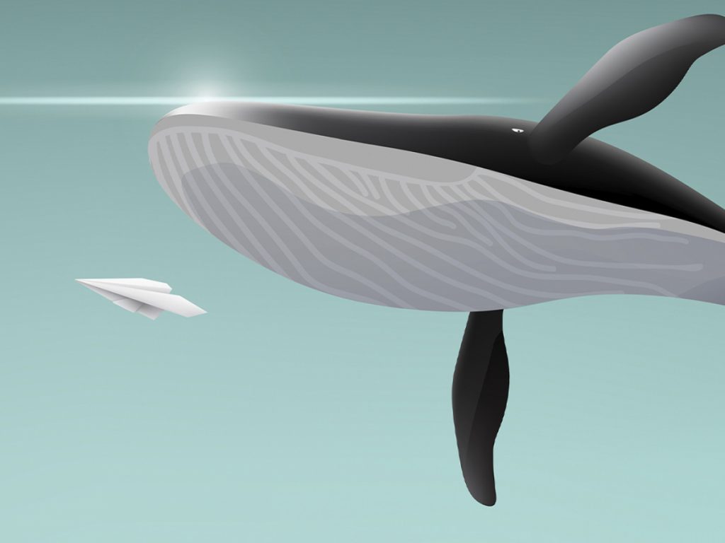 ViMoney: Các địa chỉ cá voi Ethereum vẫn mua tích lũy bất chấp giá giảm theo dữ liệu của Santiment