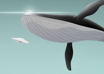 ViMoney: Các địa chỉ cá voi Ethereum vẫn mua tích lũy bất chấp giá giảm theo dữ liệu của Santiment