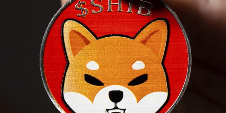 Hàng ngàn người sở hữu SHIB đăng ký nhà hàng theo chủ đề Shiba Inu của Welly