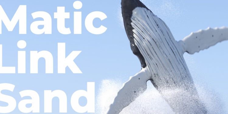 Cá voi tiền điện tử đang tích lũy mạnh mẽ MANA, SAND, MATIC, SHIB, LINK