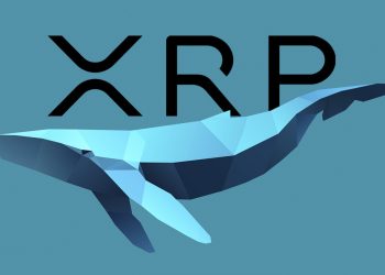 Cá voi di chuyển 60 triệu XRP giữa các ví
