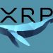 Cá voi di chuyển 60 triệu XRP giữa các ví