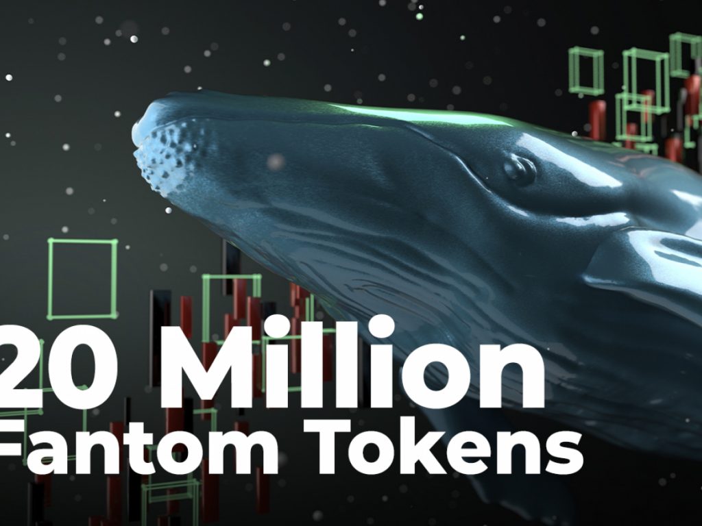 ViMoney; Cá voi mua 20 triệu mã thông báo Wrapped Fantom và 1,1 triệu FTM