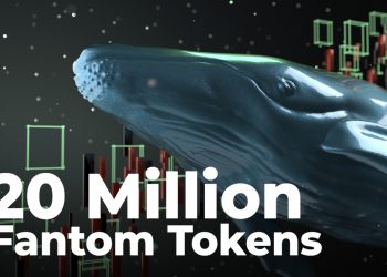 ViMoney; Cá voi mua 20 triệu mã thông báo Wrapped Fantom và 1,1 triệu FTM