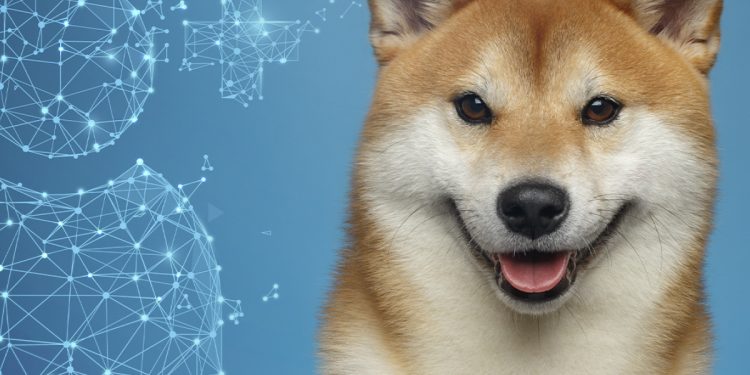 Shiba Inu có thêm gần 200.000 người dùng kể từ đầu năm 2022