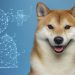Shiba Inu có thêm gần 200.000 người dùng kể từ đầu năm 2022