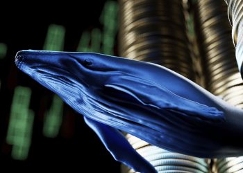 Cá voi Cardano trở nên năng động khi giá tăng trở lại