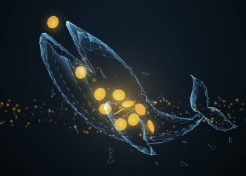 ViMoney; Cá voi tích lũy một lượng lớn Bitcoin, Ethereum và SHIB khi giá giảm