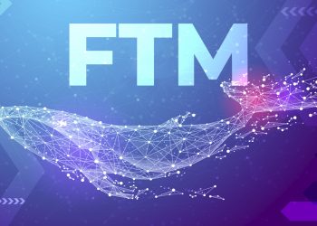 ViMoney: Cá voi thu tích lũy 15 triệu đô la FTM