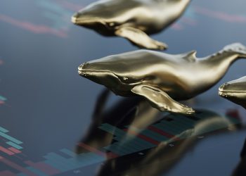 SHIB, MATIC, SAND, FTT nằm trong Top nắm giữ của 100 cá voi ETH hàng đầu