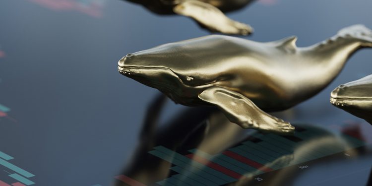 SHIB, MATIC, SAND, FTT nằm trong Top nắm giữ của 100 cá voi ETH hàng đầu