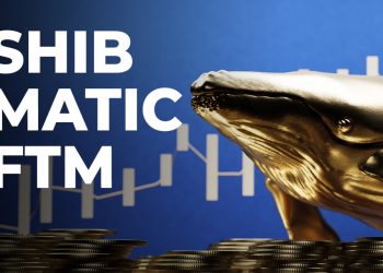 ViMoney: SHIB, MATIC, FTM được cá voi ETH hàng đầu mua nhiều nhất trong 24 giờ qua