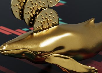 Cá voi Cardano tăng các giao dịch lớn lên 213% khi giá giảm