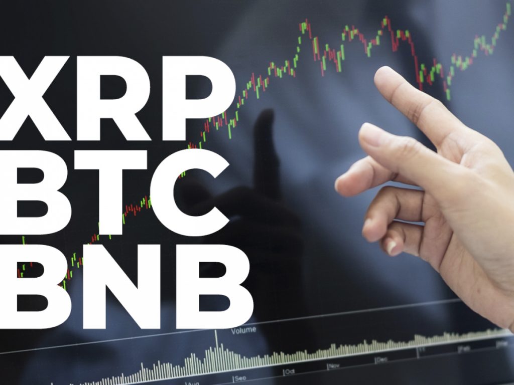 ViMoney: Các nhà giao dịch XRP, BTC, BNB tin rằng giá sẽ sớm tăng