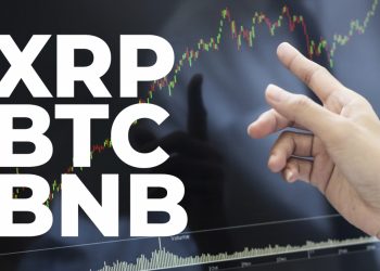 ViMoney: Các nhà giao dịch XRP, BTC, BNB tin rằng giá sẽ sớm tăng