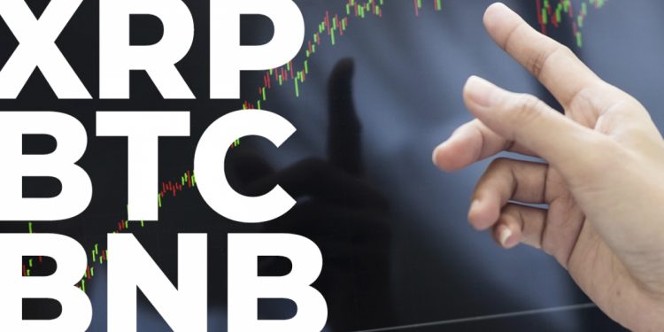 ViMoney: Các nhà giao dịch XRP, BTC, BNB tin rằng giá sẽ sớm tăng