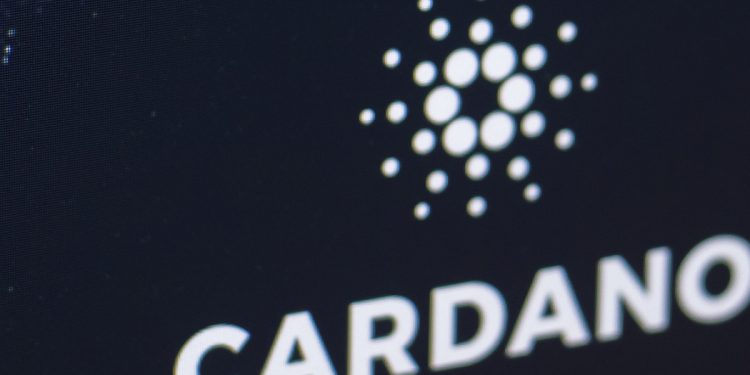 Người sáng lập Cardano cho biết với hơn 500 dự án đang xây dựng trên Cardano, một cơn sốt có thể xảy ra