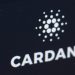Người sáng lập Cardano cho biết với hơn 500 dự án đang xây dựng trên Cardano, một cơn sốt có thể xảy ra