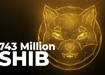 743 triệu SHIB bị đốt cháy trong 24 giờ, 575 triệu sẽ biến mất sau 2 ngày: Chi tiết