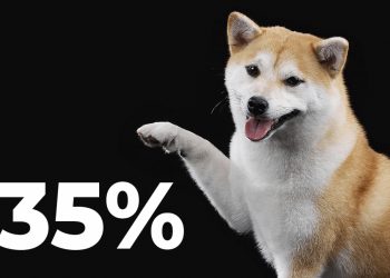 ViMoney: Khả năng sinh lời của Shiba Inu giảm xuống còn 35% nhưng cá voi vẫn không nản lòng