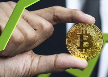 Khi người tạo Dogecoin hy vọng giá tăng, Bitcoin vọt lên 41.500 đô la