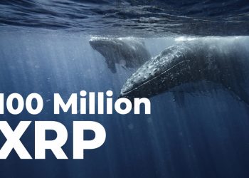 ViMoney: 100 triệu XRP được cá voi tích lũy