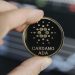 Santiment: Cardano nằm trong top 5 tài sản phát triển nhanh nhất trong 30 ngày qua