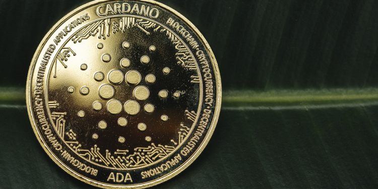 ViMoney: Tổng giá trị bị khóa của Cardano đạt 224 triệu đô la, SundaeSwap chỉ còn thống trị 50% h1