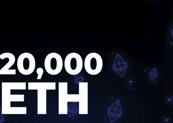 ViMoney: 20.000 Ethereum được chuyển giữa các ví khi Cá voi tiếp tục tích lũy