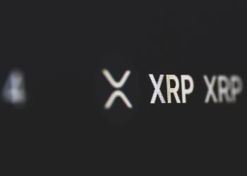 ViMoney: 211 triệu XRP được chuyển bởi cá voi khi XRP giao dịch quanh mốc 0,79 đô la h1