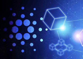 ViMoney: Platinum Crypto Academy hợp tác với Bashoswap của Cardano h2